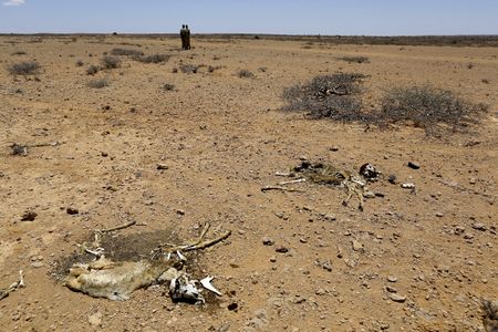 Five ways in which finance for climate adaptation in Africa falls short