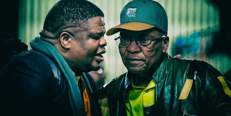 Cash ‘parcels’ to minister, spying on media and infiltration of anti-Zuma movement highlighted in report on SA spy agency