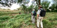 Two camps with walking trails in the Kruger: Different habitats and experiences