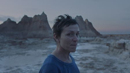 Living on instinct: ‘Nomadland’ is an elegy for our times