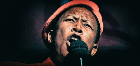 Malema's rifle case postponed due to lockdown