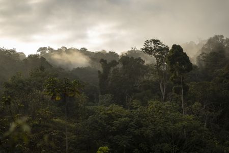 Carbon capture is confusing. Here are 14 terms to help understand it