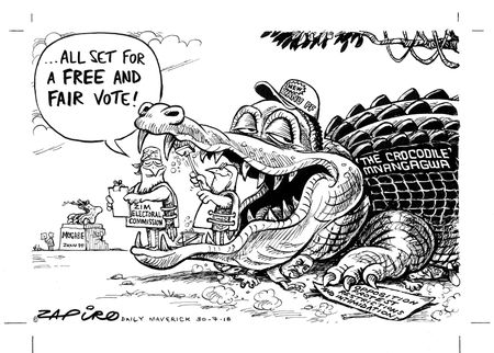 Zim All Set?