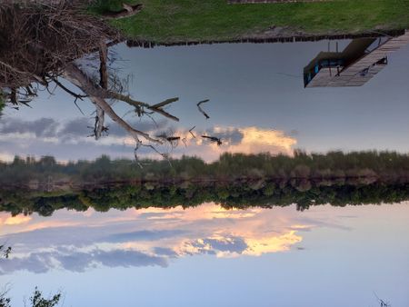 Fish in major South African river have microplastics coursing through them
