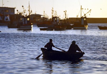 Struggling small-scale fishers are thrown a lifeline by pilot project