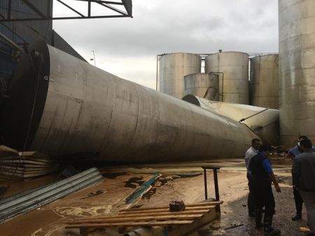 Silver lining to Dusi pollution calamity?