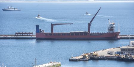 UAE’s role in Lady R saga doesn’t make sense, say experts as questions over arms imports continue