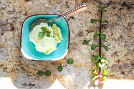 How to make spekboom ice cream