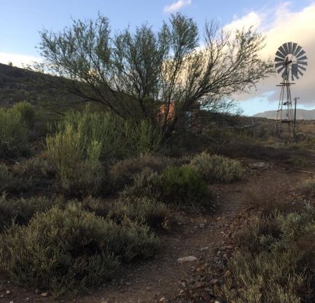 What Appeal Court’s fracking judgment means