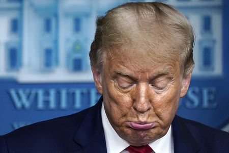 Once upon a time in America... when the Constitution brought down Donald Trump