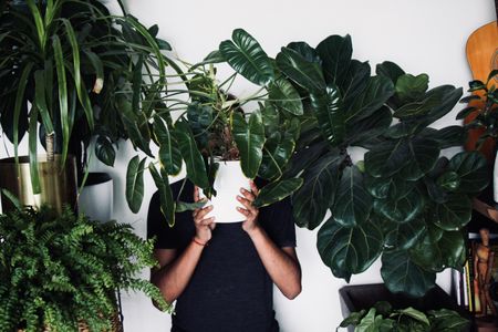 Pretty powerful - How plants can improve your state of mind