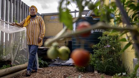 On crop of the world: Cape Town neighbours plant seeds of hope during Covid-19