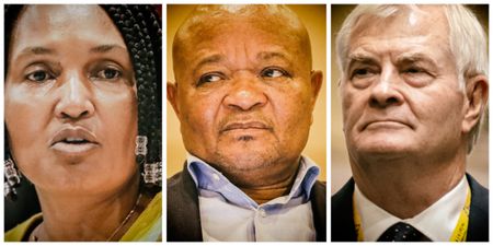 Anti-corruption stances, an apartheid abduction and death penalty calls — SA’s security ministers have textured pasts