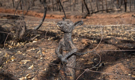 War of Words: The language of the climate emergency 