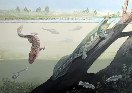 One giant step for man as species stepped out of the water