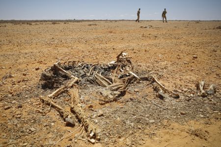 Researchers head to COP27 with Africa-specific ways to tackle the climate crisis