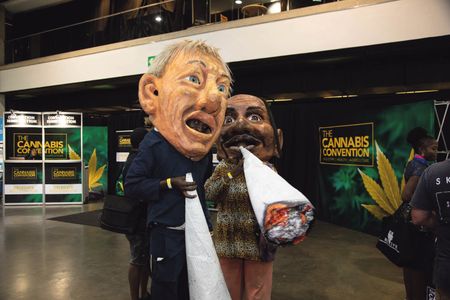High expectations: What the marijuana industry has to offer for South Africa’s budding entrepreneurs