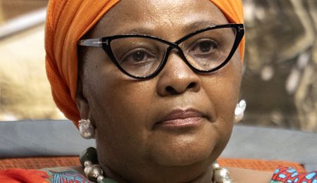 National Assembly Speaker breezes through no-confidence motion as EFF stands alone