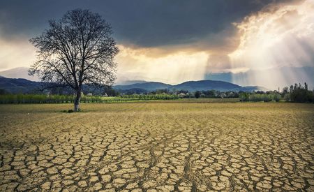 Trillions needed for climate action — COP29 must deliver more than just a number for Africa