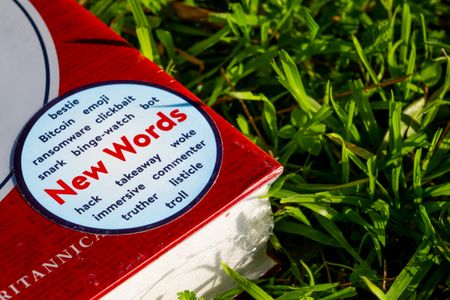 Most ‘words of the year’ don’t actually tell us about the state of the world – here’s what I’d pick instead