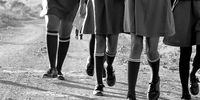 ‘Vetting crisis’ — thousands of Gauteng scholar transport drivers not screened against offenders list