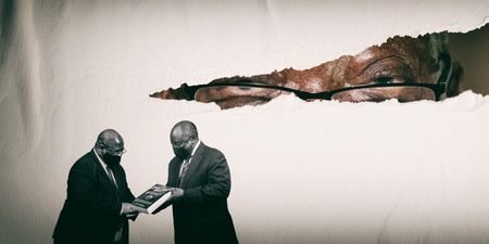 The NPA needs energising and beefing up if we want to achieve a capable state