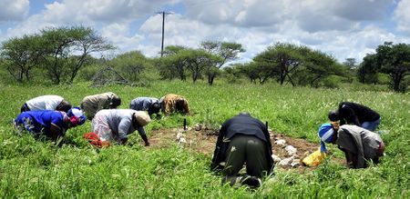 Ramaphosa’s planned land reform agency looks like another political delaying ploy