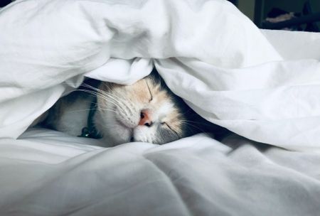 Here’s how much sleep you really need for optimal cognition and wellbeing – new research