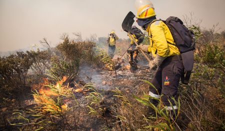 Cape Town: Days of fire and devastation