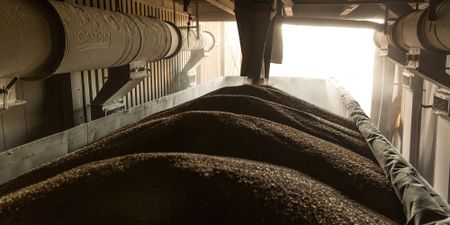 Grain producers taking a stand — now the JSE faces new competition