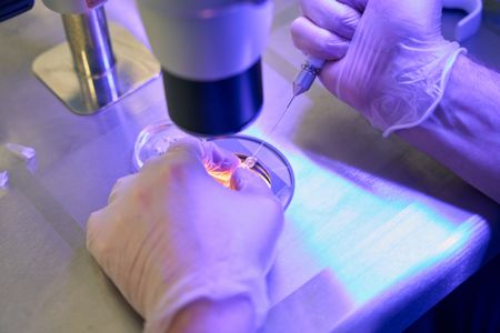 Pension Funds Adjudicator rules woman not entitled to sperm donor’s retirement benefit