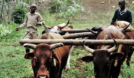 GroundUp Op-Ed: Expropriation Bill could be a turning point in land reform