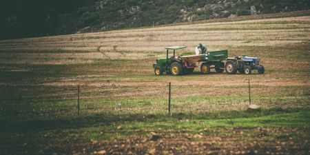 Tenuous tenure: Deputy minister aims to give farmworkers more muscle