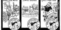 ANC renewal