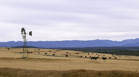 Ramaphosa's land reform commitment: a path to empowering South Africa's agricultural sector