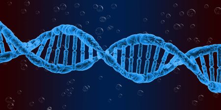 A DNA test could save your life, but potentially also hand you a life sentence