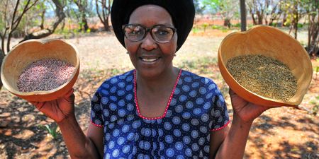 Fighting back against food poverty and climate change through indigenous farming methods
