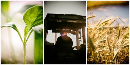 To survive first we must heal the land, then the planet