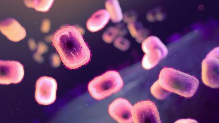Mpox outbreak in the DRC – a call for an urgent collaborative continental response