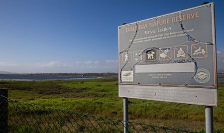 Boat club flags City of Cape Town water quality tests following contradictory results