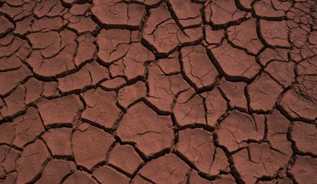 Amending the Constitution will force the government to act fast on land expropriation