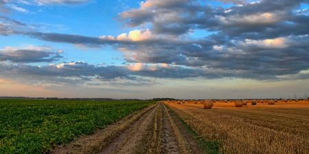 We need a revolution in African farming — regenerative agriculture could be the catalyst