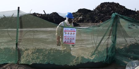 Durban’s toxic warehouse: Ramaphosa urged to act on Cornubia chemical disaster