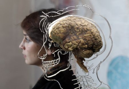 Smaller brains? Fewer friends? An evolutionary biologist asks how AI will change humanity’s future