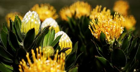 The Gathering 2022: Five more nightmarish years later, South Africa is in dire need of solutions