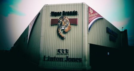 A tainted reign: Why Tiger Brands’ Lawrence MacDougall had to go 