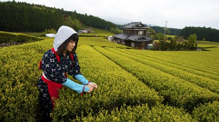 Land Reform All Over The World