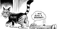 The Cat