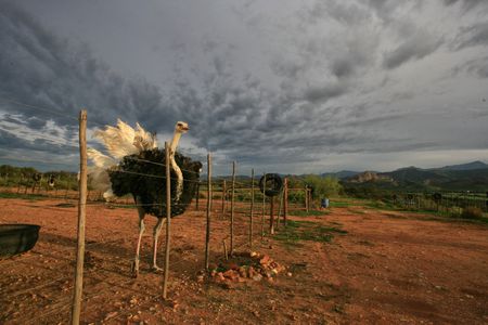 After the Bell: Fighting the head-in-the-sand approach to the climate crisis