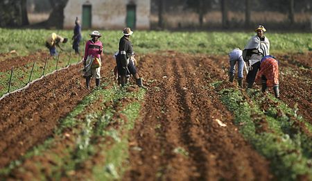 Land reform has regressed under ANC, academics say